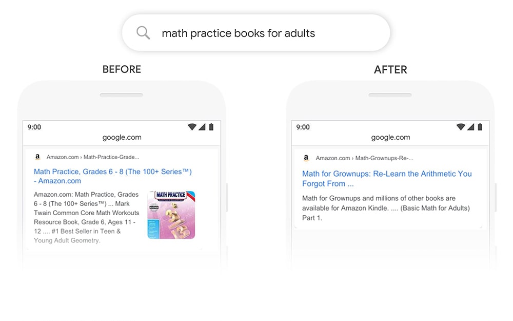 google bert update query math practice books for adults
